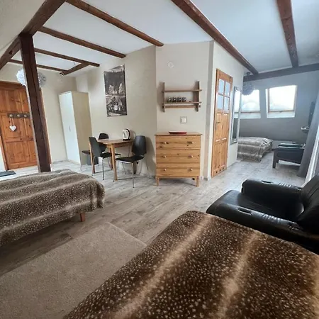 Bed & Breakfast Goscinne Wysoka