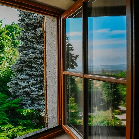 Goscinne Wysoka Bed & Breakfast 3*