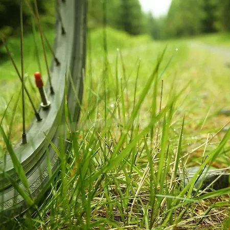 Alojamento de Acomodação e Pequeno-almoço Goscinne Wysoka