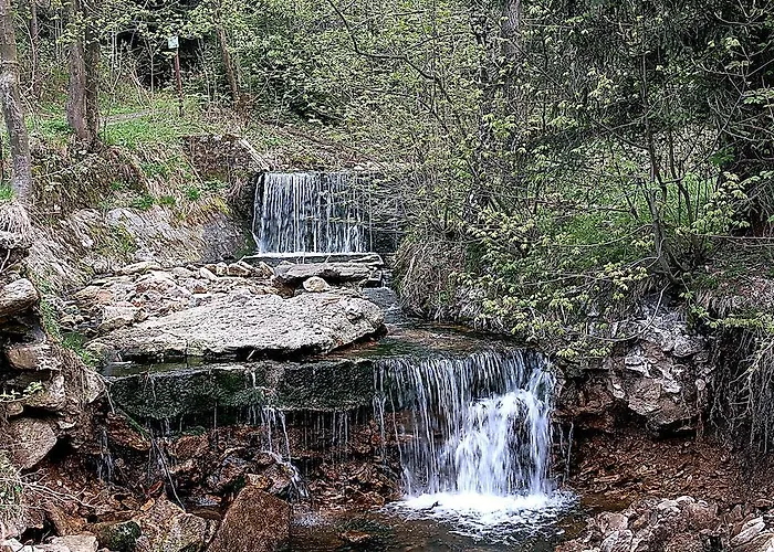 Goscinne Wysoka Świeradów-Zdrój